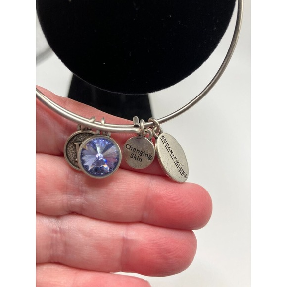 Rodan + Fields Charm Silver-Tone Bangle Bracelet! - Picture 10 of 15